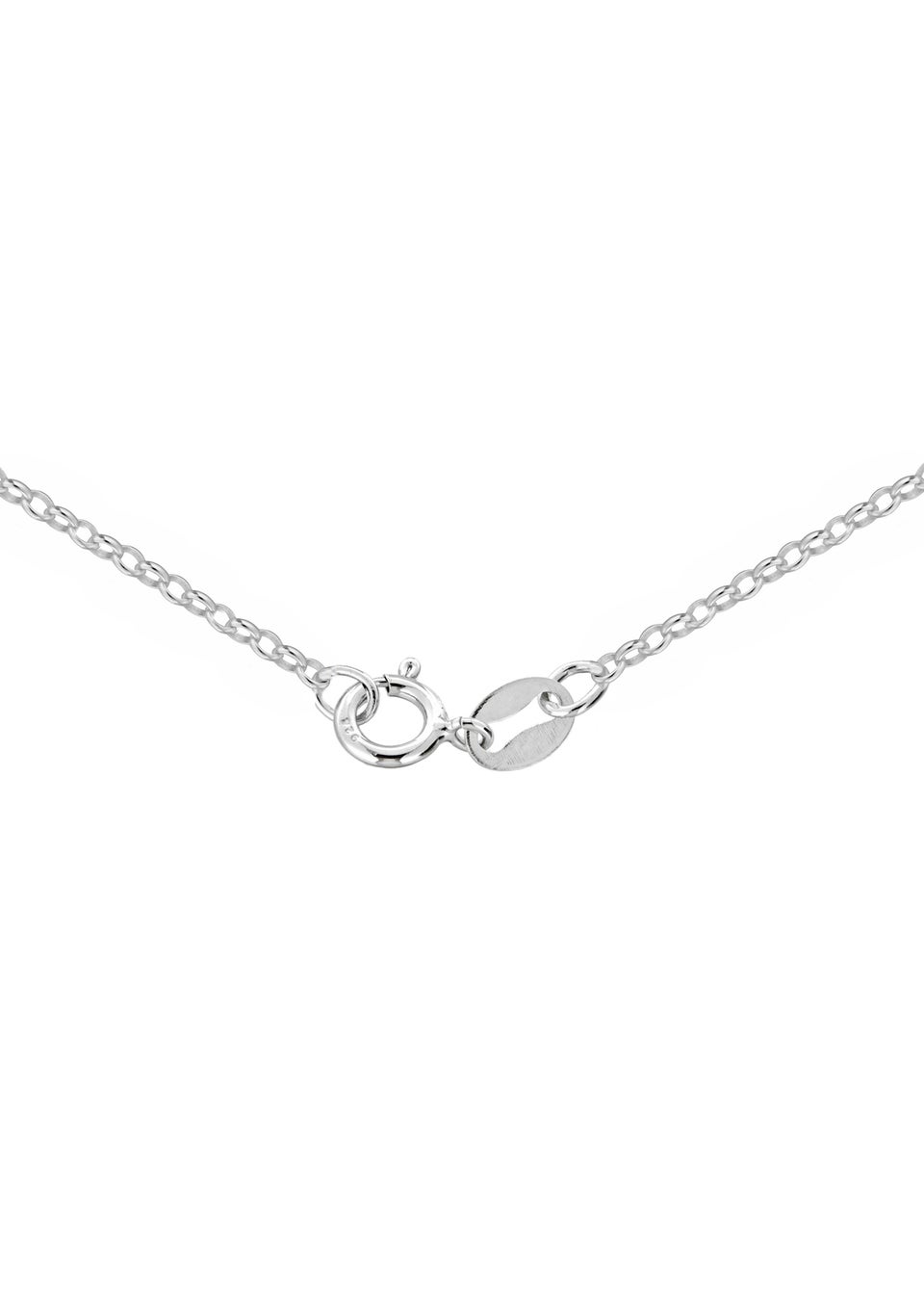 Golden Moments Sterling Silver Belcher Chain and Heart Necklace