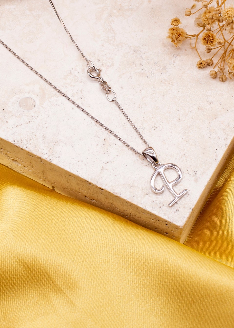 Golden Moments Sterling Silver Diamond 'P' Initial Necklace