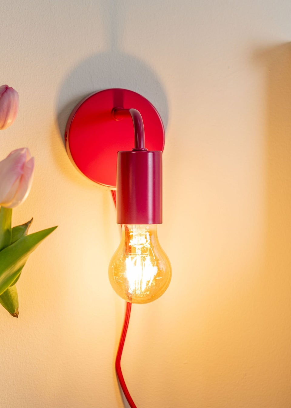 ValueLights Jordy Raspberry Colour Pop Plug In Wall Light (13cm x 14cm x 10cm)
