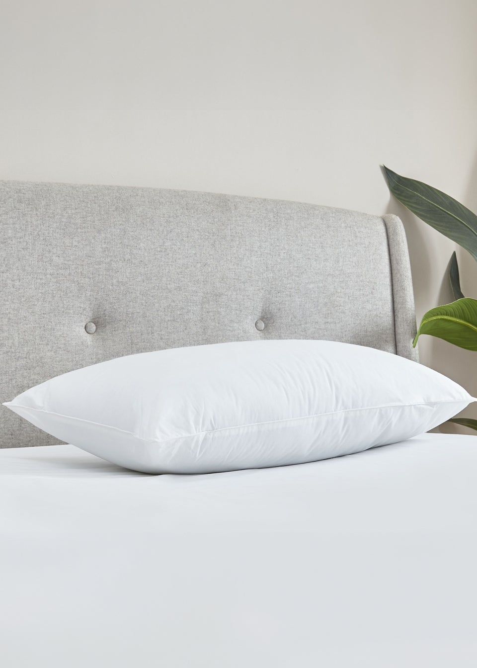 Catherine Lansfield Cotton Spring Pillow (48x74cm)