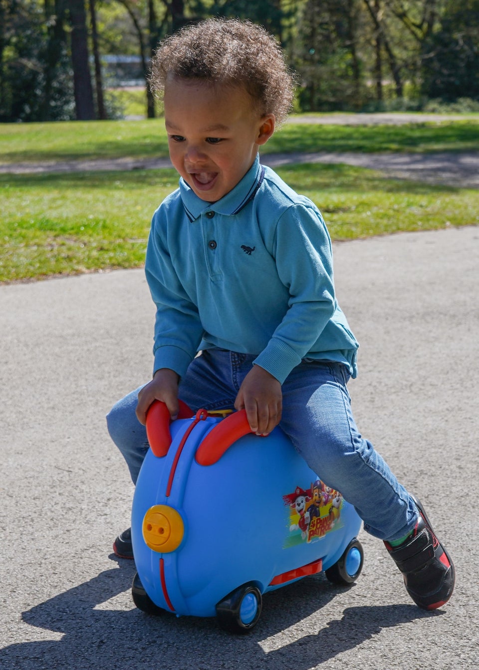 Paw Patrol MoVe Rollacase