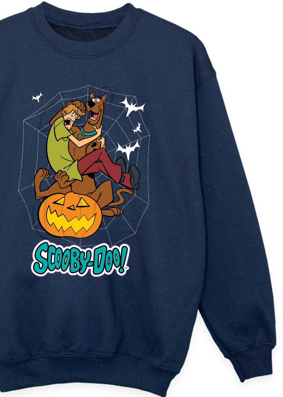 Scooby Doo Pumpkin Boys Navy Sweatshirt (3-13 Years)