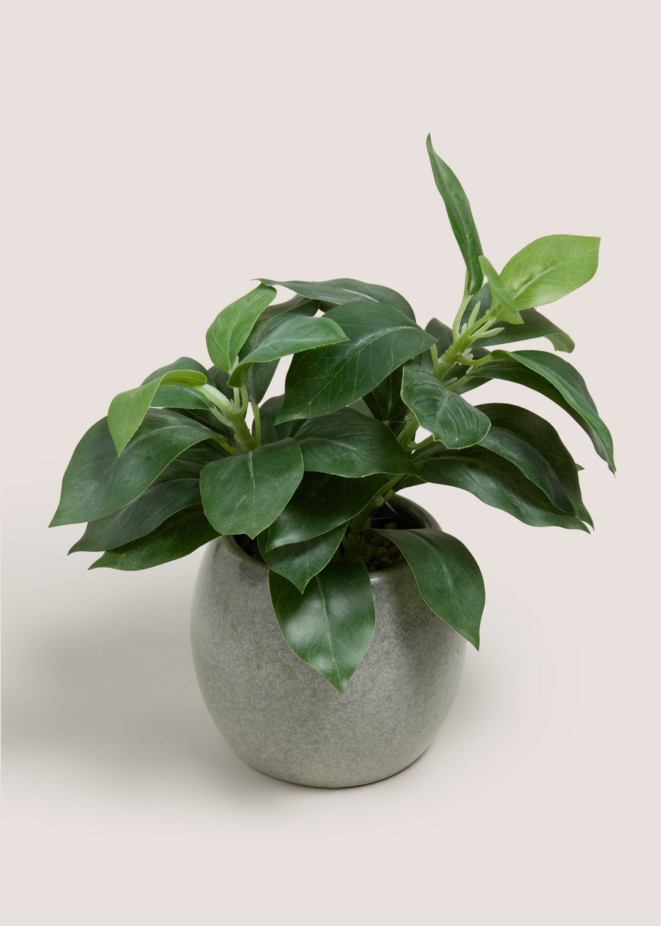 Renew Plant