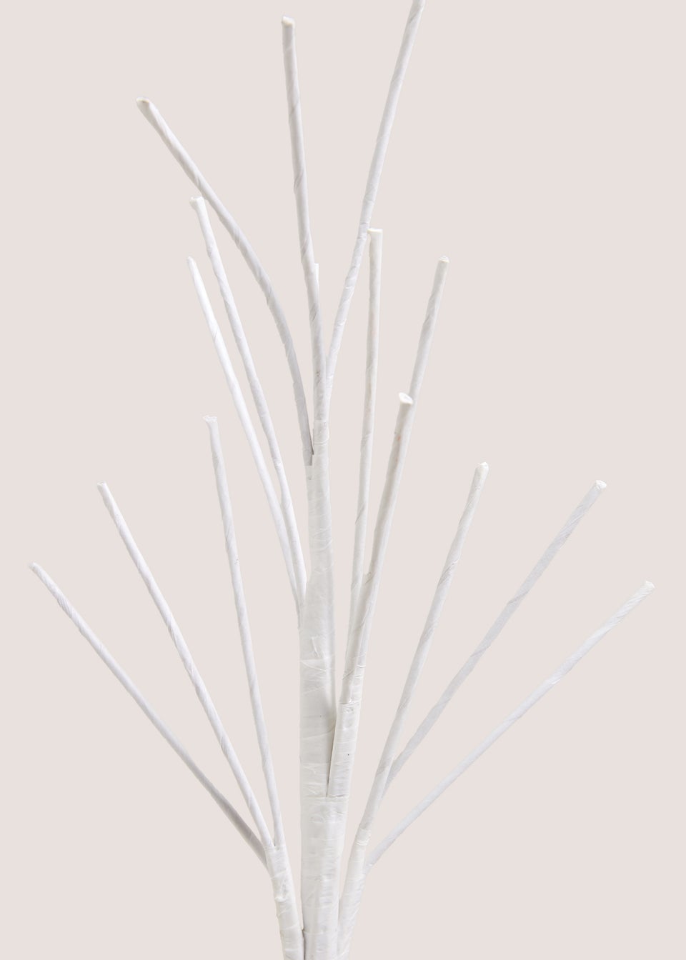 White Twig Tree
