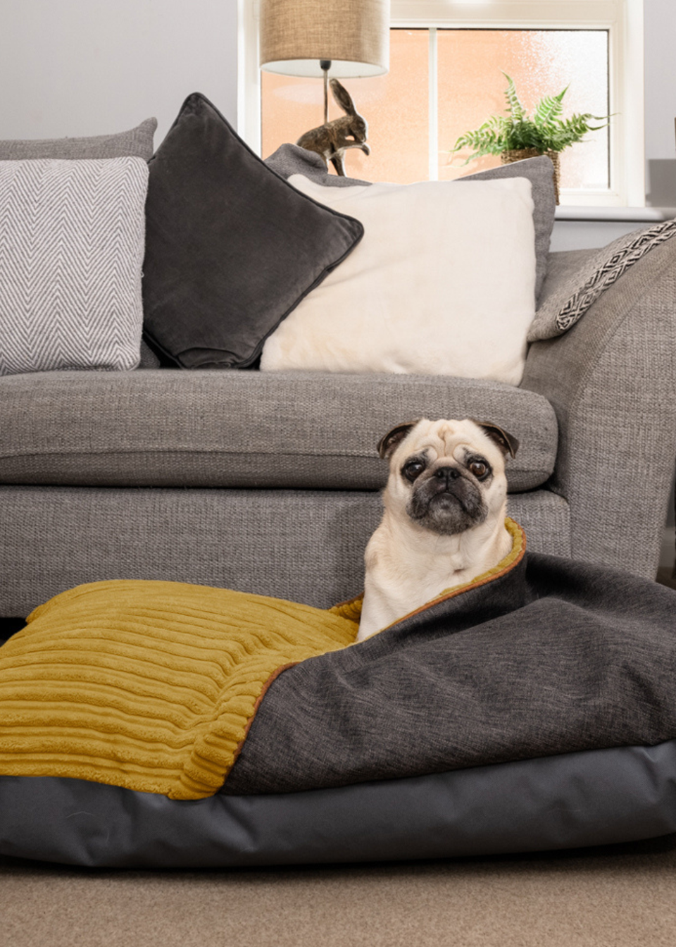 Pets Matalan