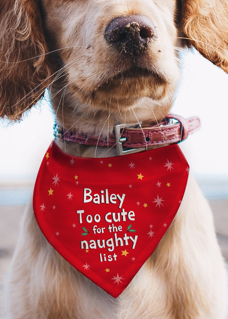 Personalised Memento Company Red 'Too cute for the naughty list' Dog Bandana