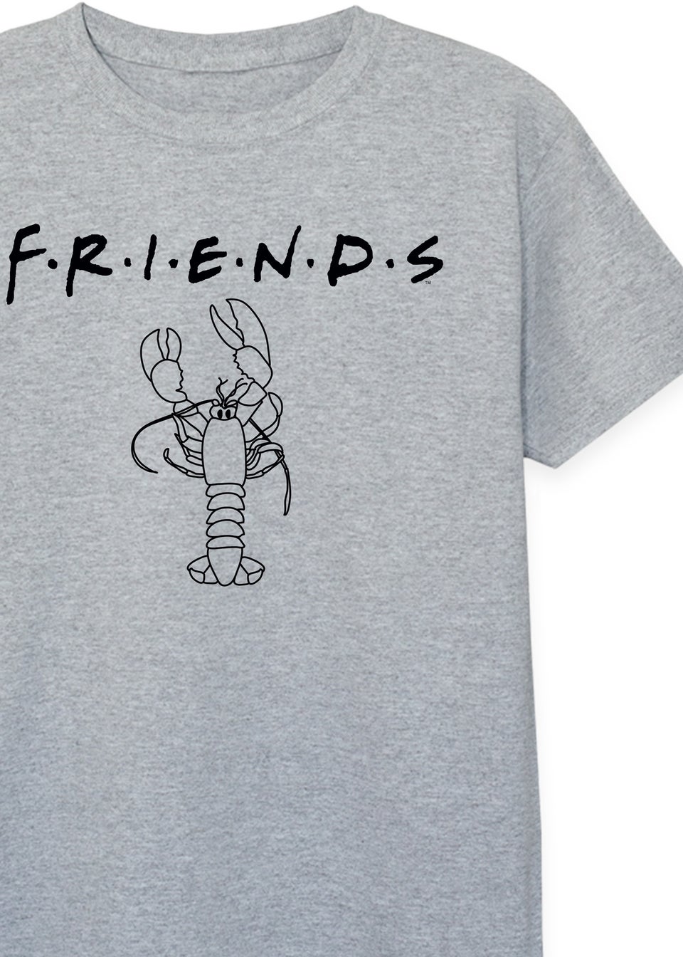 Friends Lobster Kids Heather Grey T-Shirt (3-13 Years)