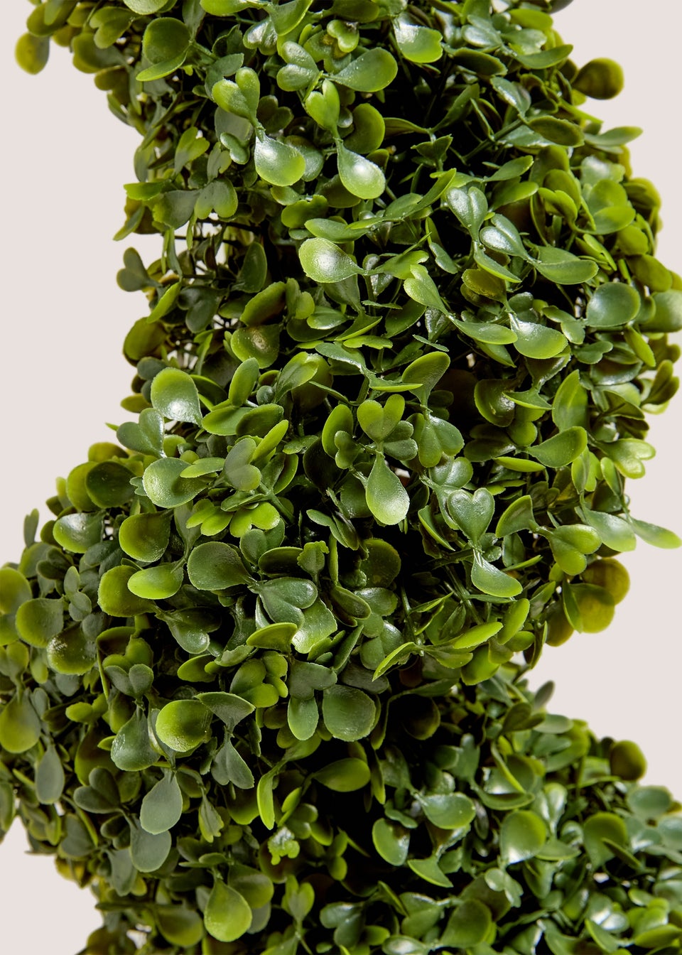 Spiral Topiary