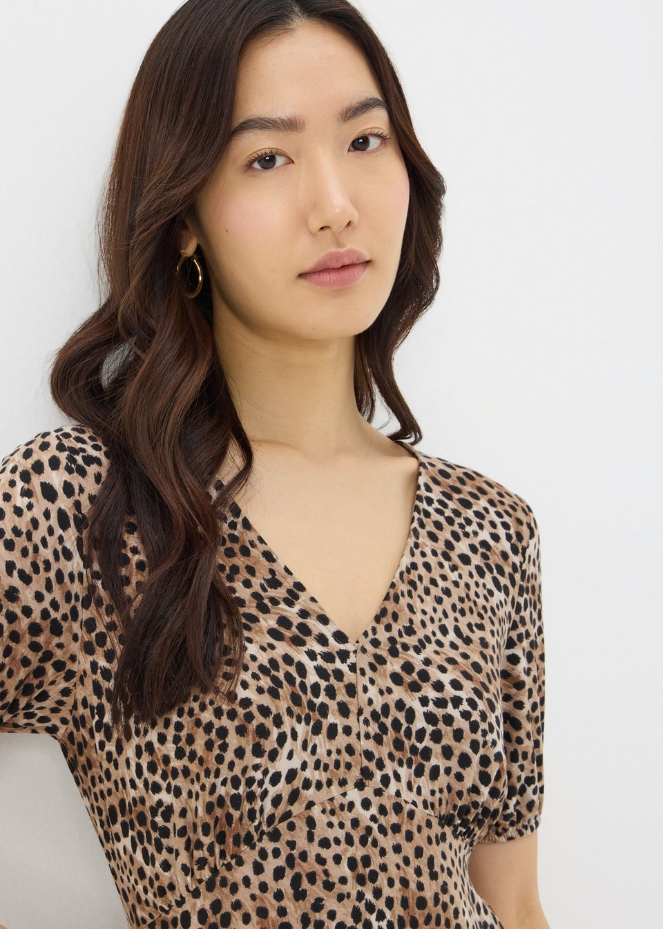 Brown Animal Print Mini Dress