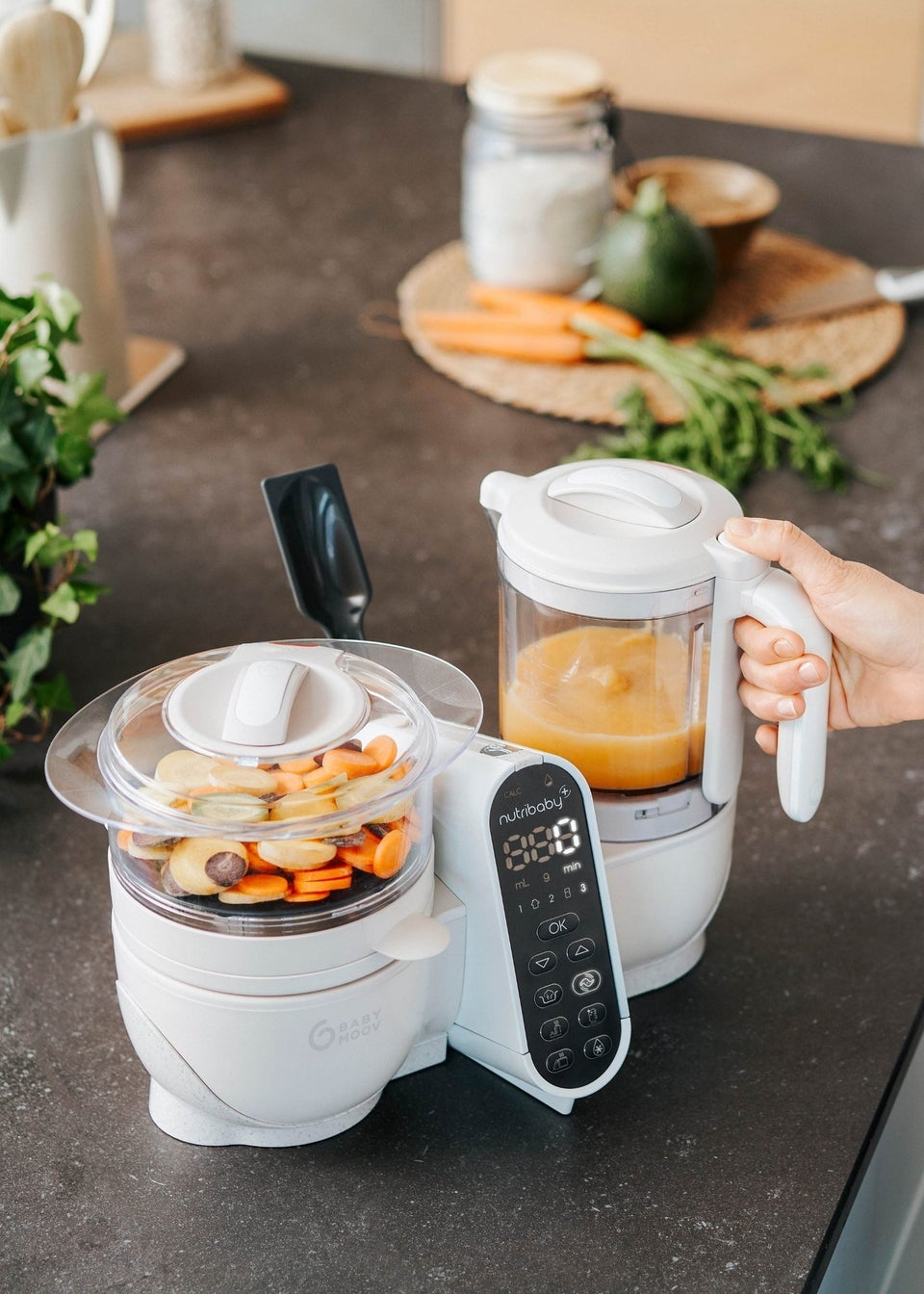 Babymoov Mineral Nutribaby 6 in 1 Baby Food Maker