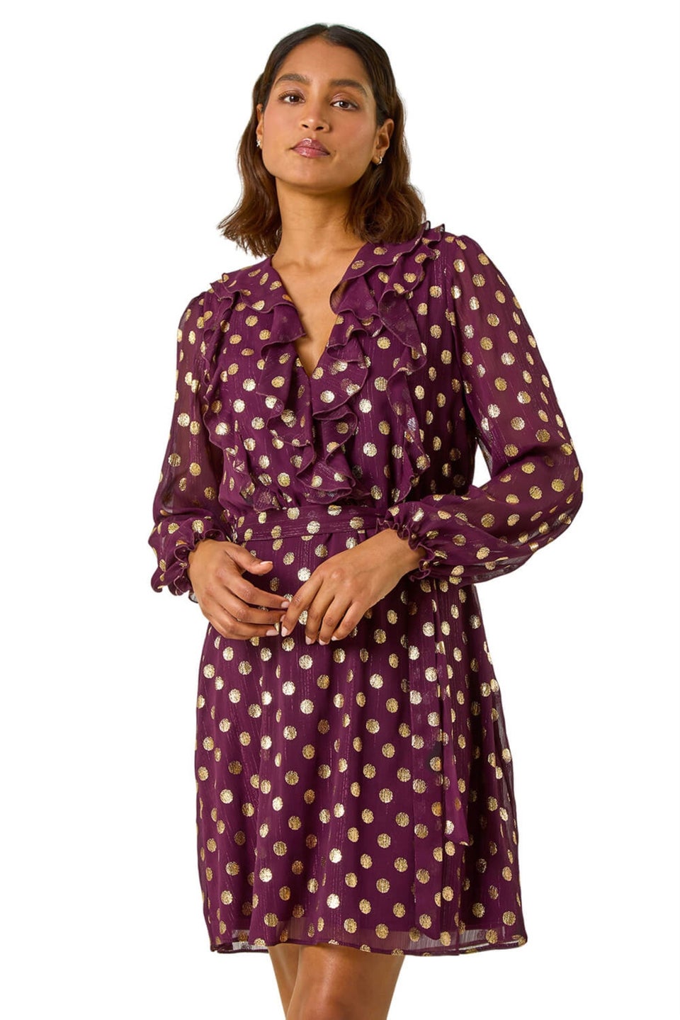 Roman Burgundy Foil Print V-Neck Fit & Flare Ruffle Dress