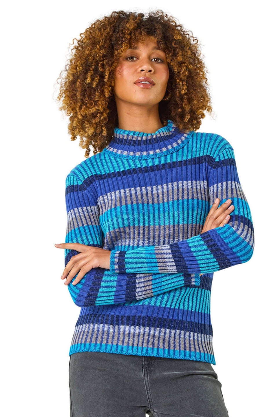 Roman Blue Roll Neck Stripe Print Ribbed Knit Jumper