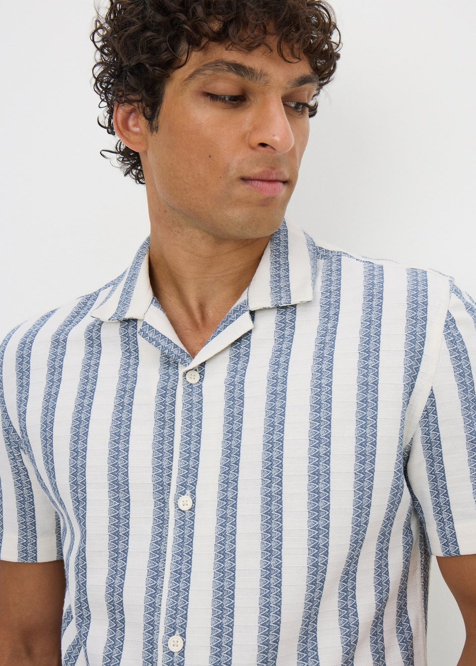 Blue Stripe Textured Shirt