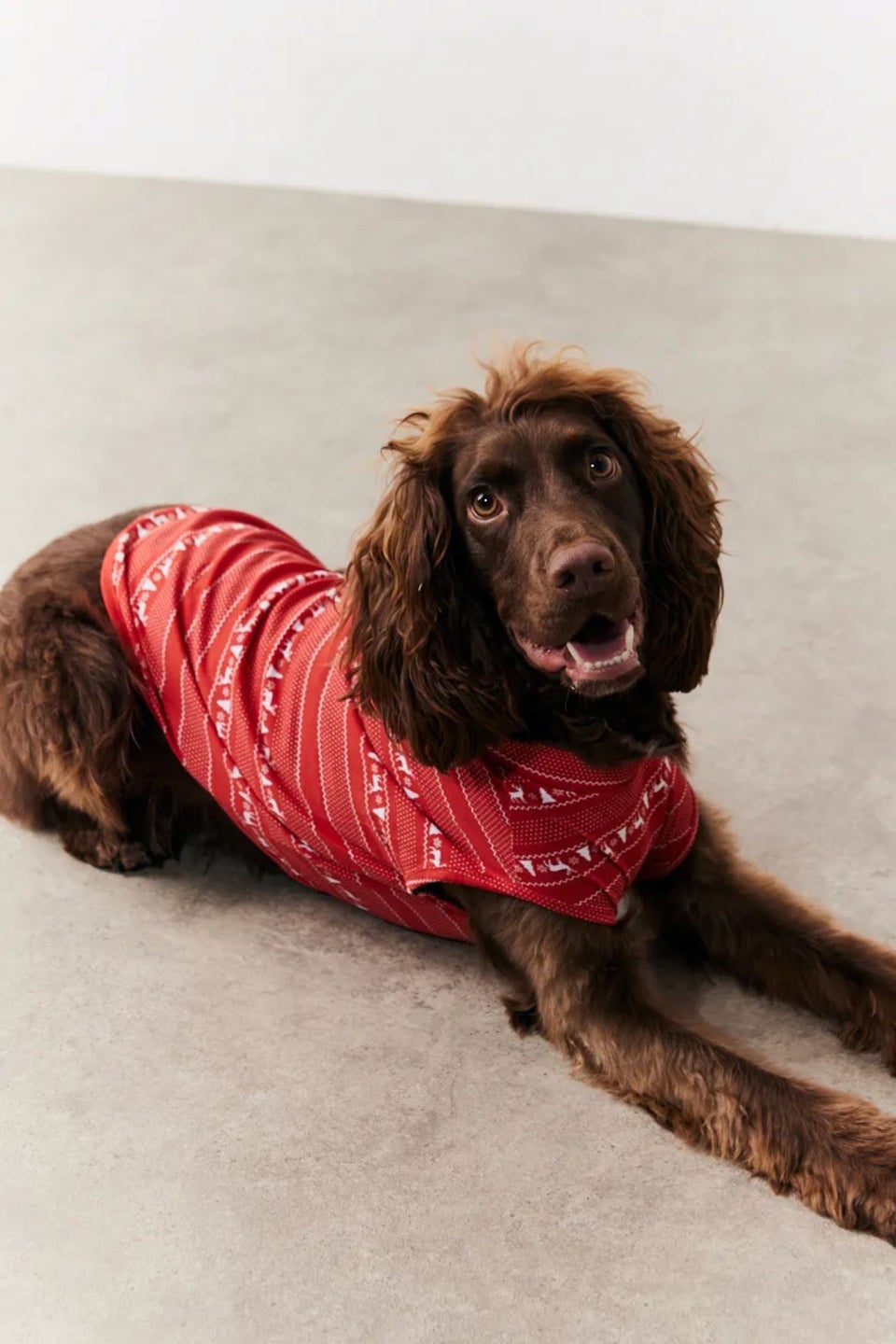 In The Style Red Dog Fairisle Print Pyjama