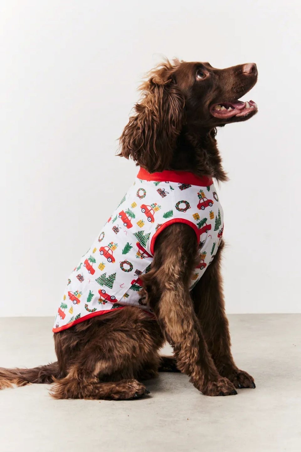 In The Style Cream Dog Traditional Print Pyjama