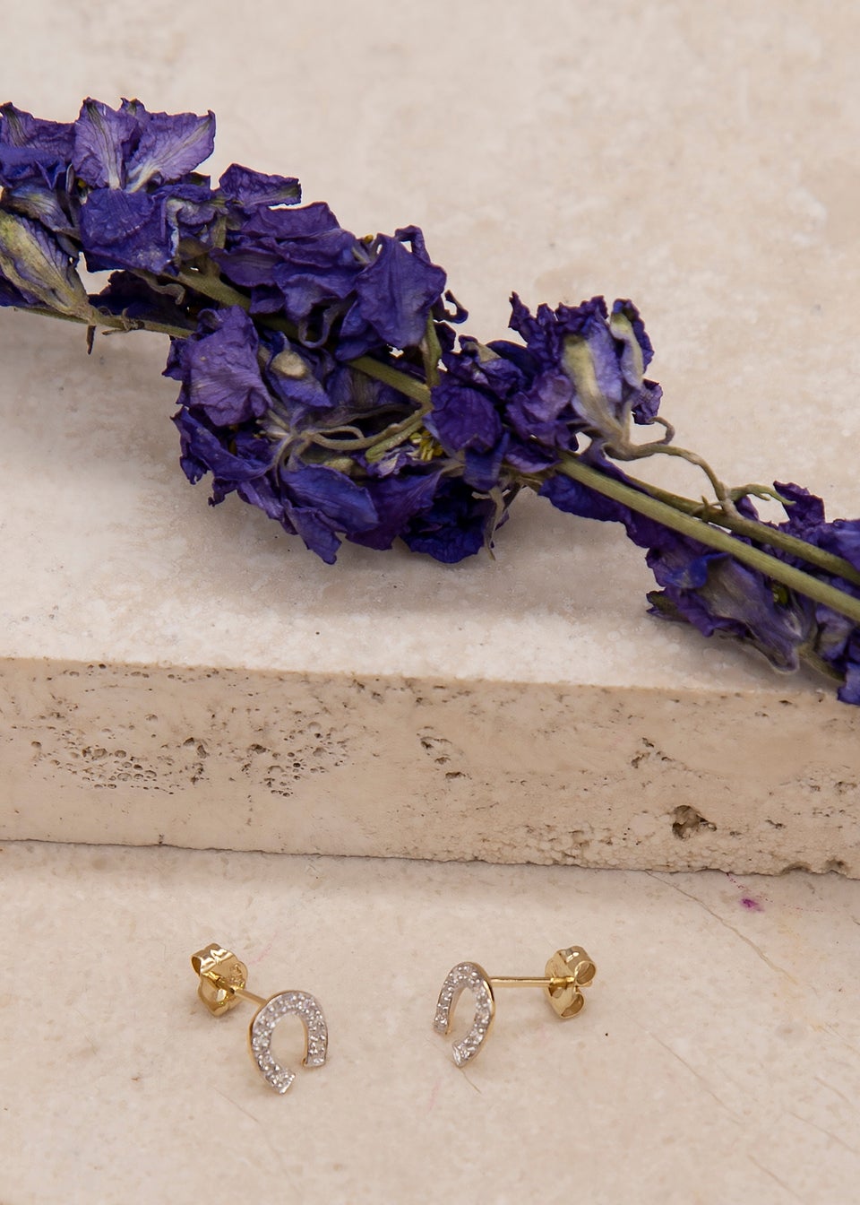 Golden Moments 9ct Yellow Gold CZ Horseshoe Stud Earrings