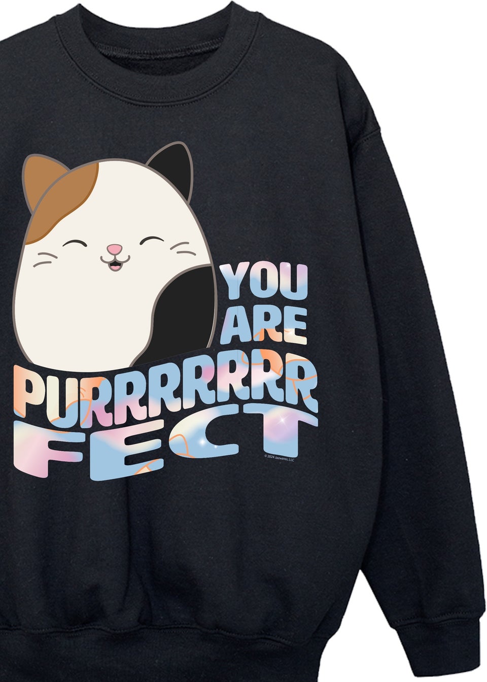Squishmallows Cam You Are Perfect Girls Black Sweatshirt (5-13 Years)