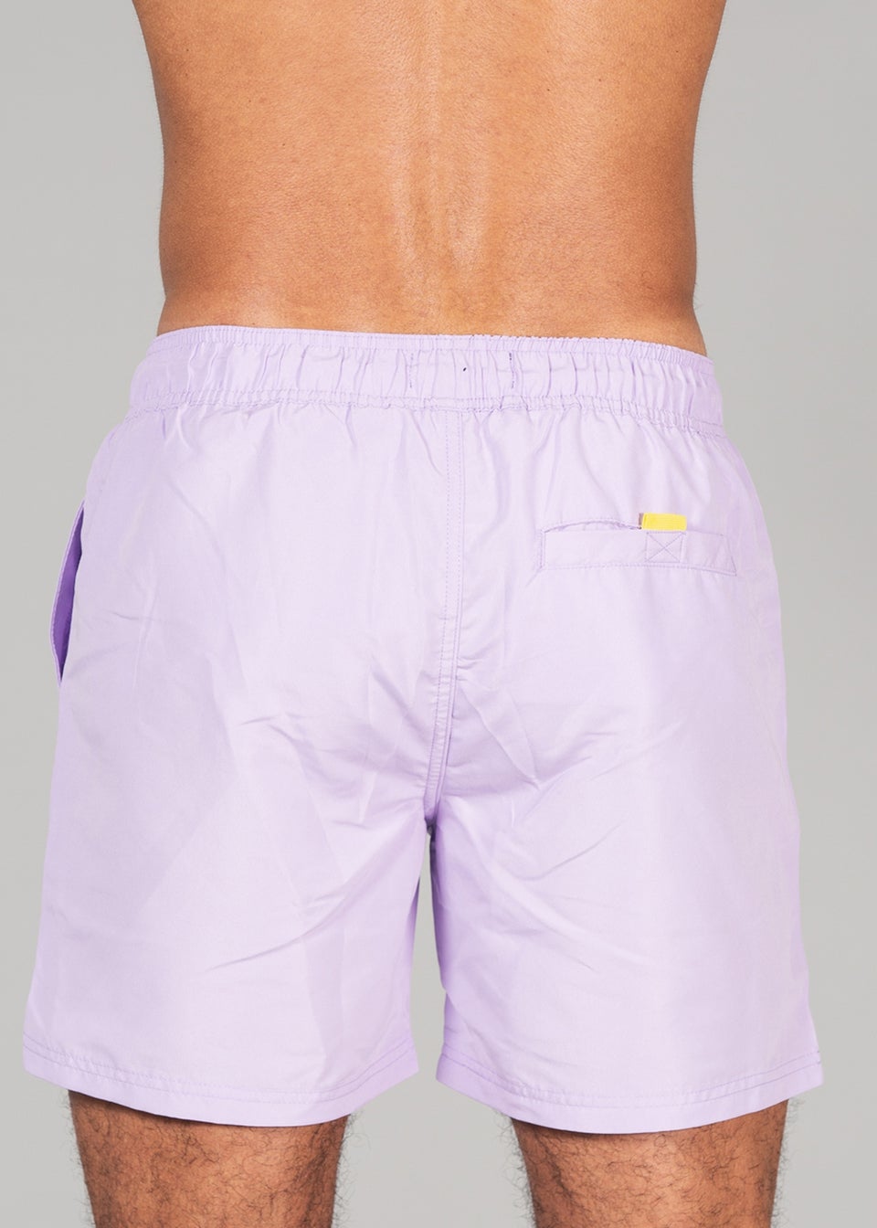 Kensington Eastside Purple 2-Pack Colour Swim Shorts