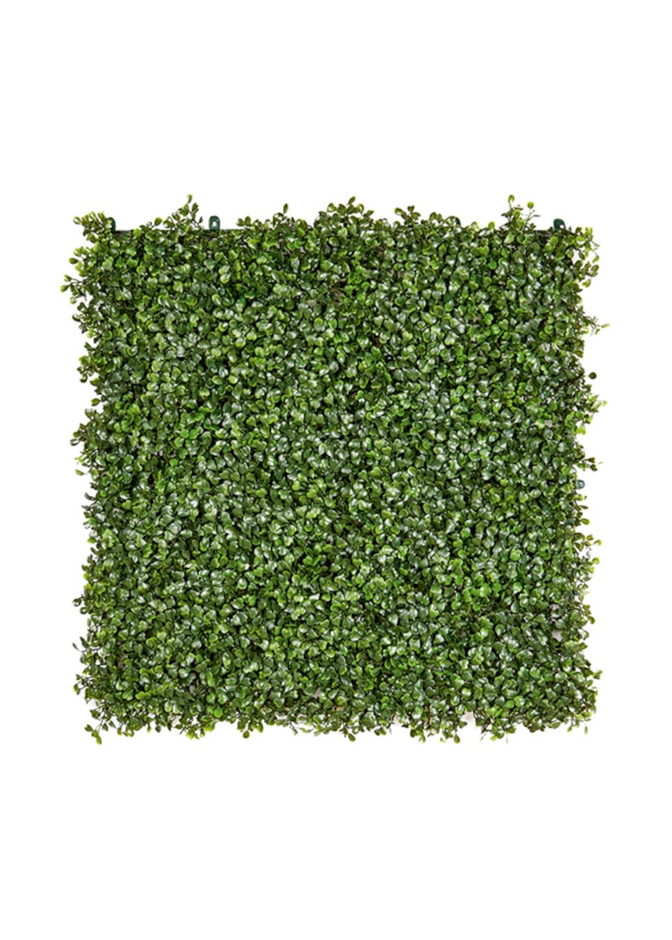 Premier Decorations Green Artificial Living Wall English Boxwood