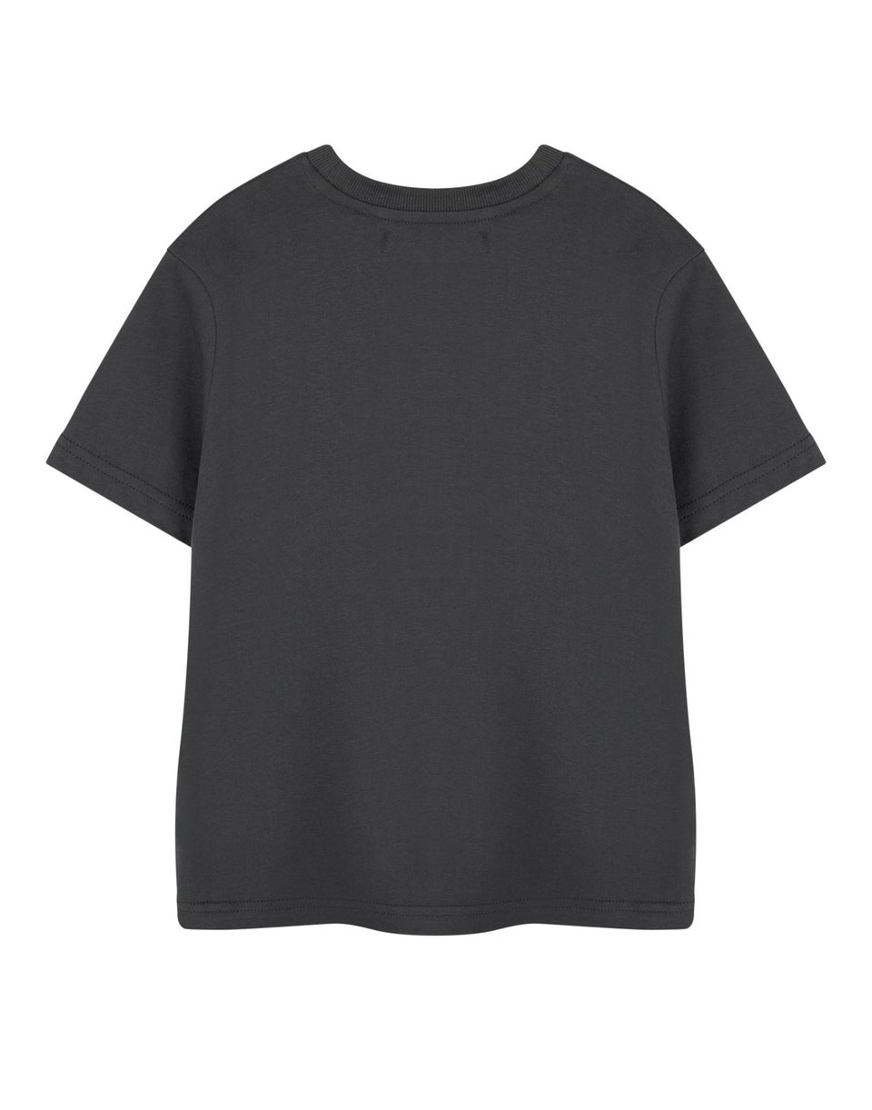 Marvel Spiderman Friendly Neighbourhood Kids Charcoal T-Shirt (2-14 Years)