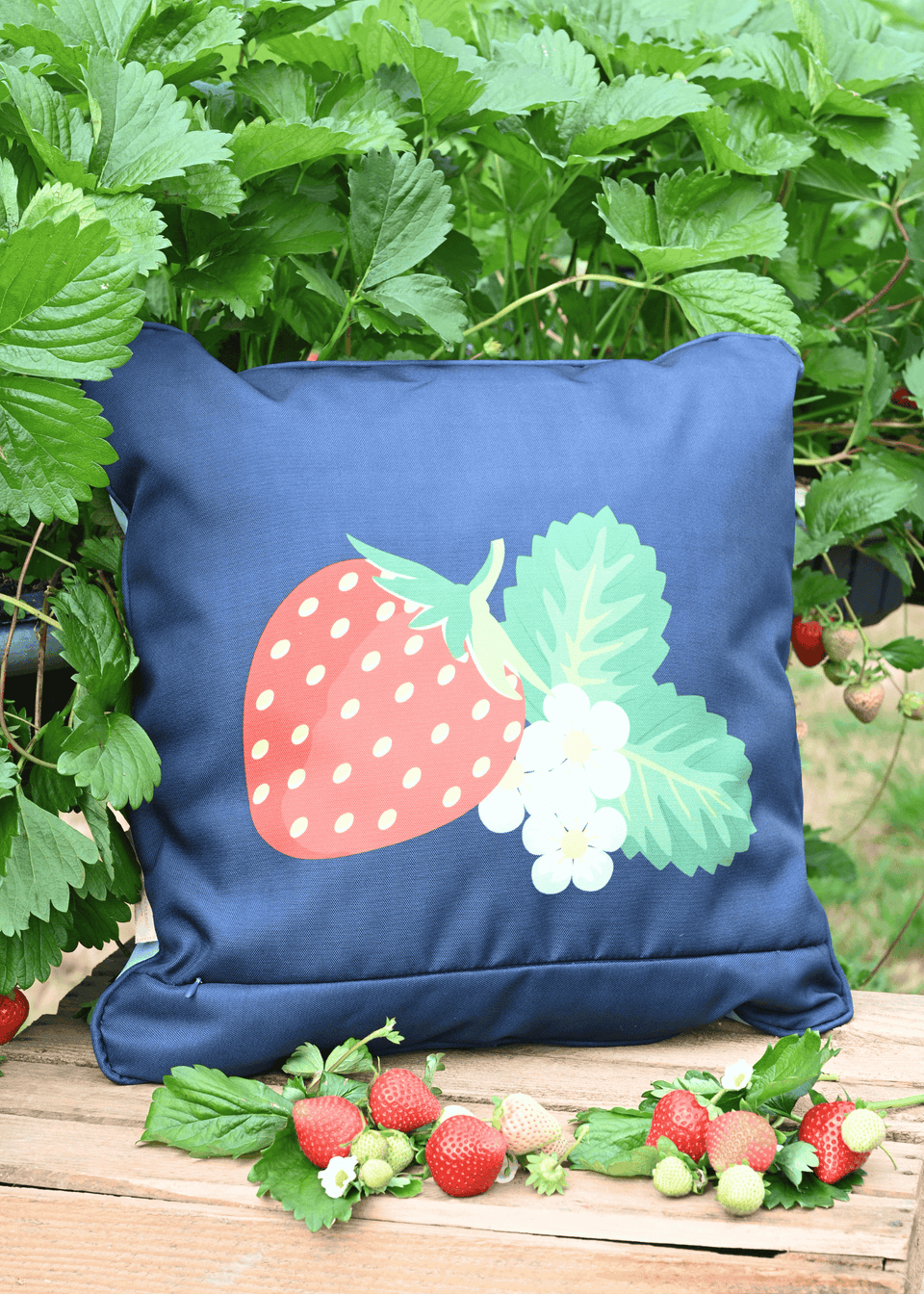 Summerhouse by Navigate Strawberries & Cream Cushion