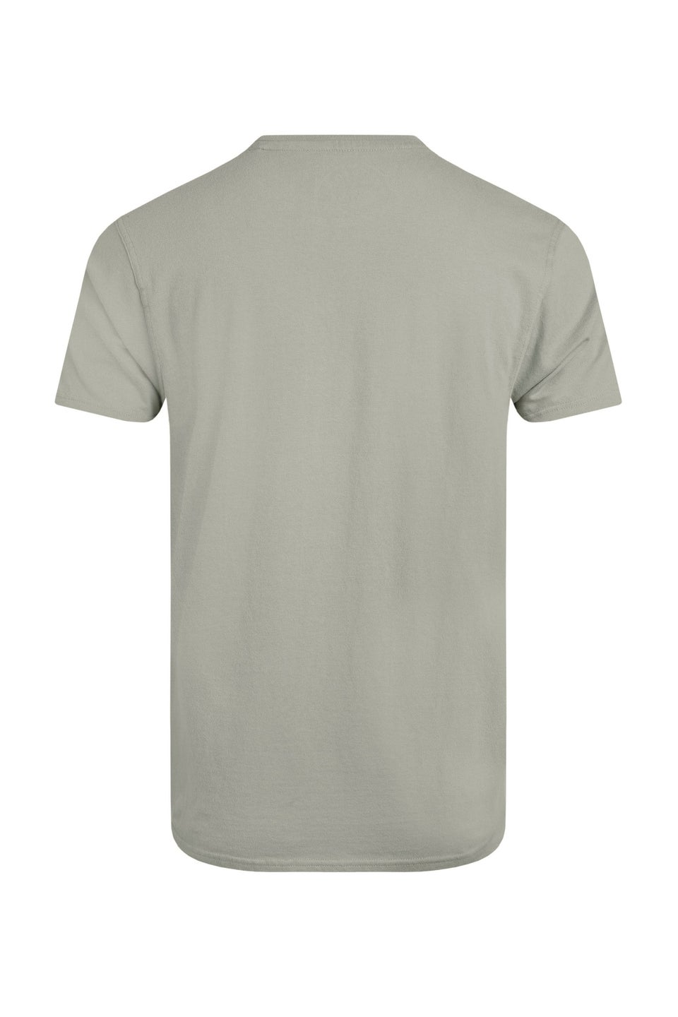 Weird Fish Grey Carp Side Front Print Artist T-Shirt