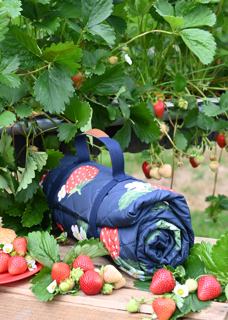 Summerhouse by Navigate Strawberries & Cream Quilted Picnic Blanket