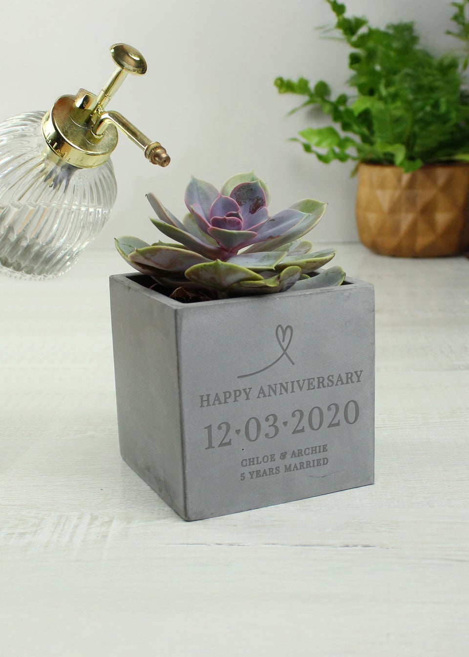 Personalised Memento Company Special Date Concrete Plant Pot