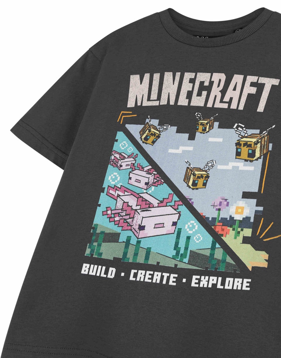 Minecraft Kids Grey Build Create Explore T-Shirt (3-14 Years)