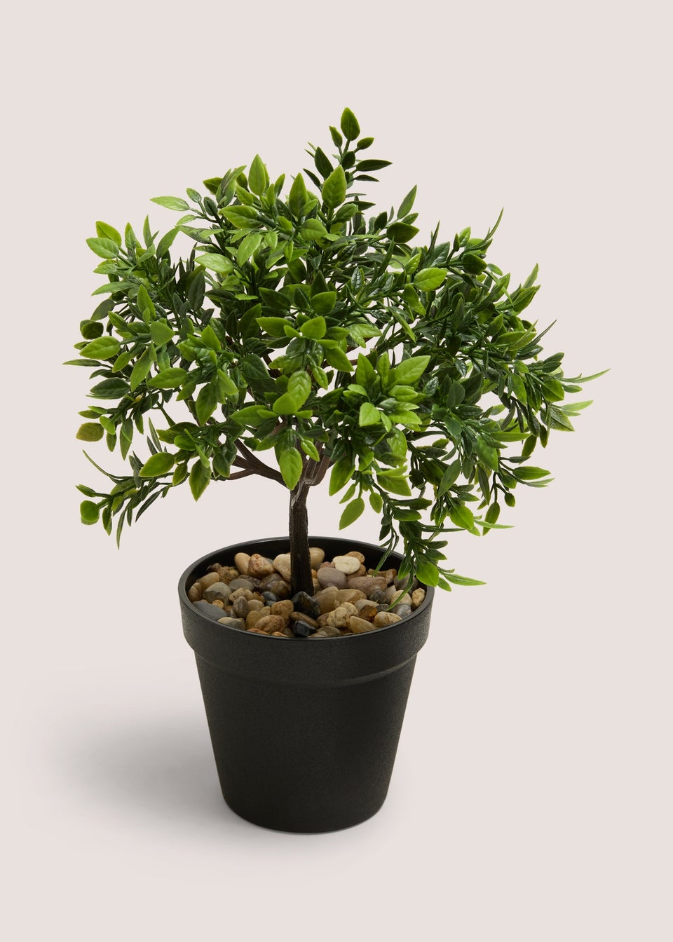 Mini Rose Tree
