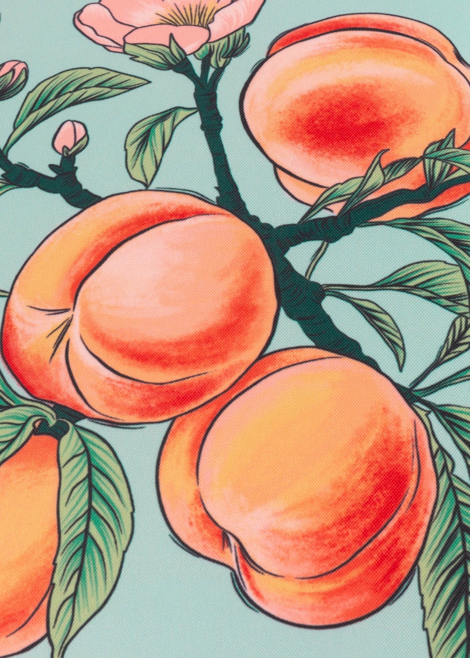 furn. Anemone Peaches Printed Outdoor Outdoor Cushion