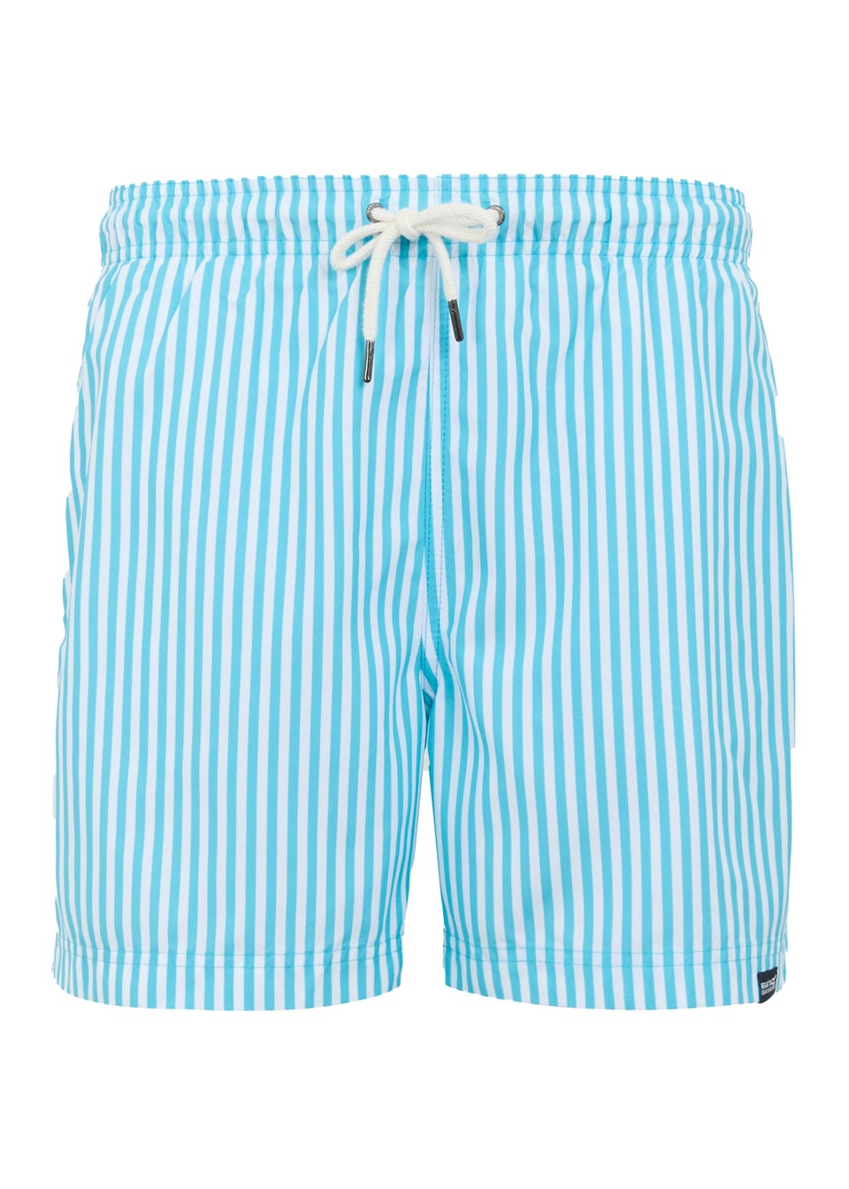Regatta Aquarius Blue Stripe Loras Swim Shorts
