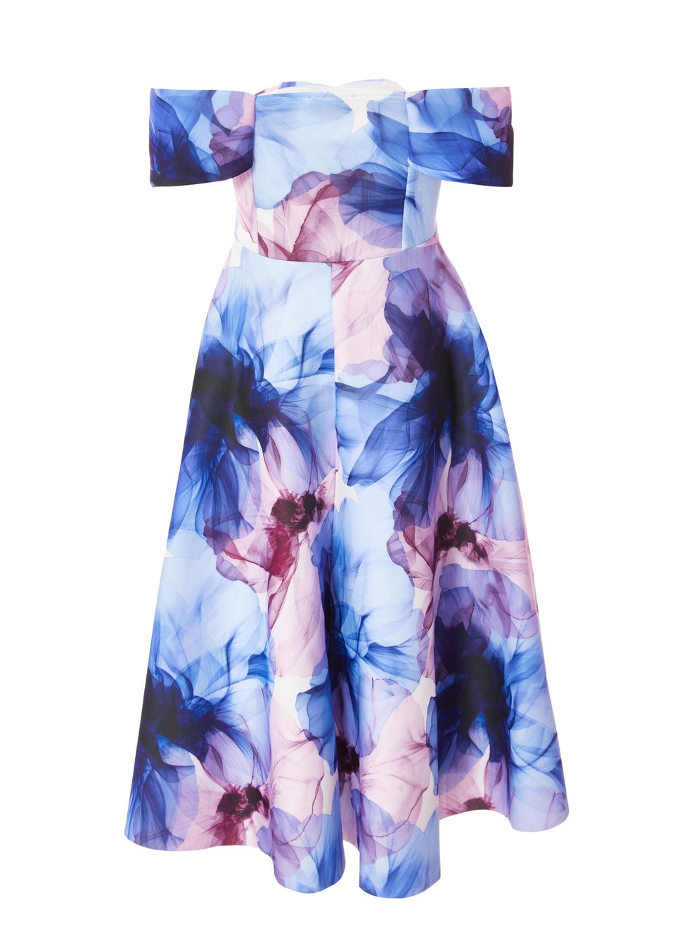 Quiz Blue Floral Skater Dress