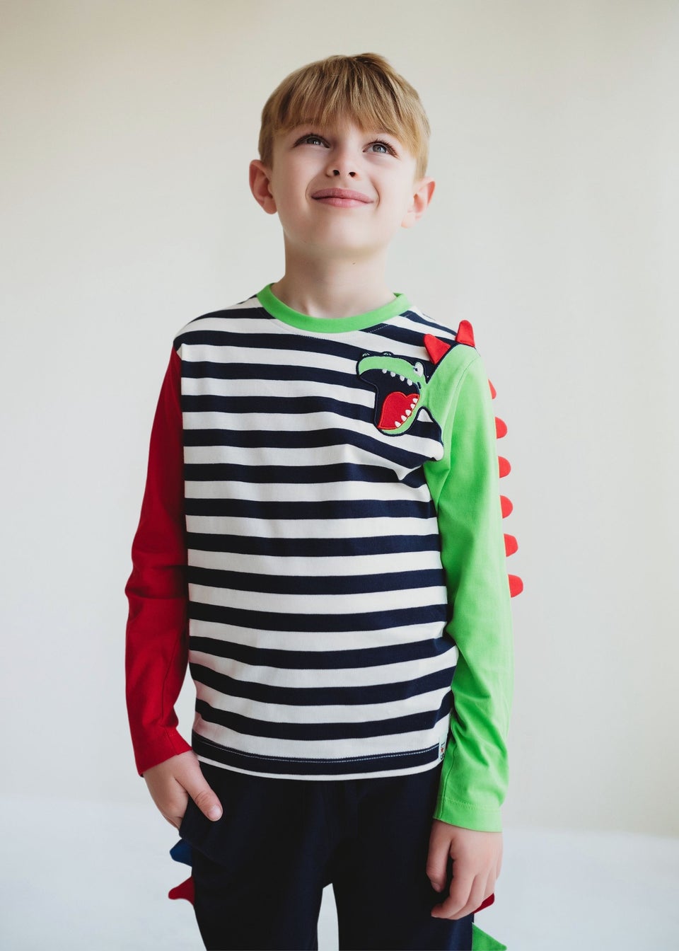 Lilly & Sid Multicoloured Dinosaur Applique Top (6 Months- 7 Years)