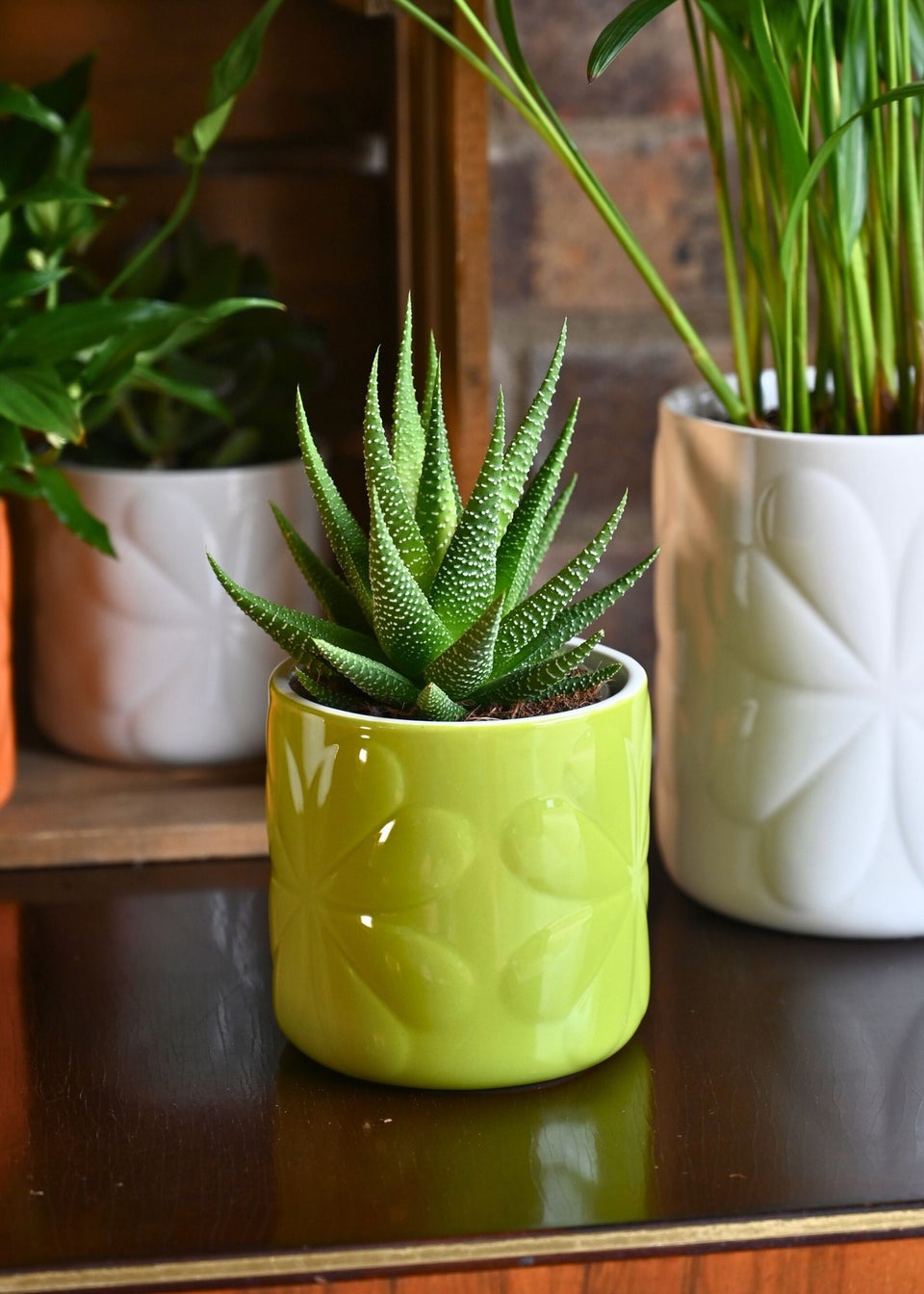 Beau & Elliot Lime Carnaby Porcelain Embossed Pot Small