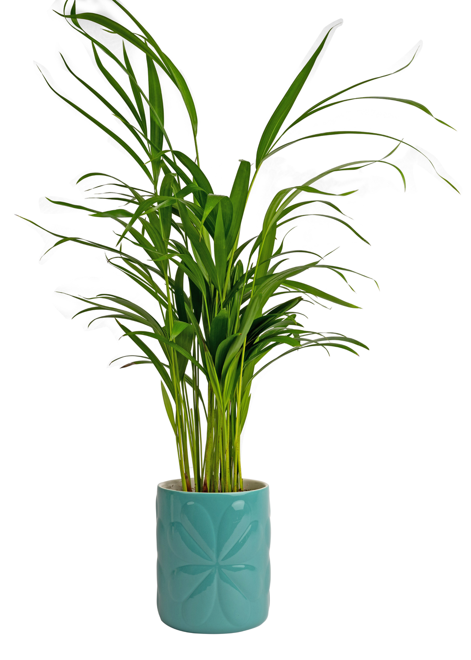 Beau & Elliot Teal Carnaby Porcelain Embossed Pot Large