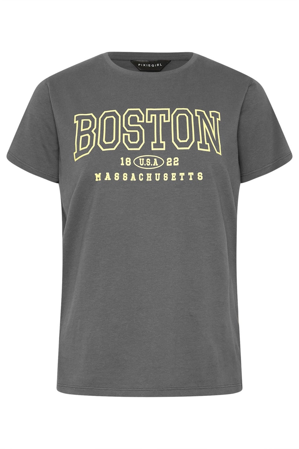 Pixiegirl Grey Boston Slogan T-Shirt