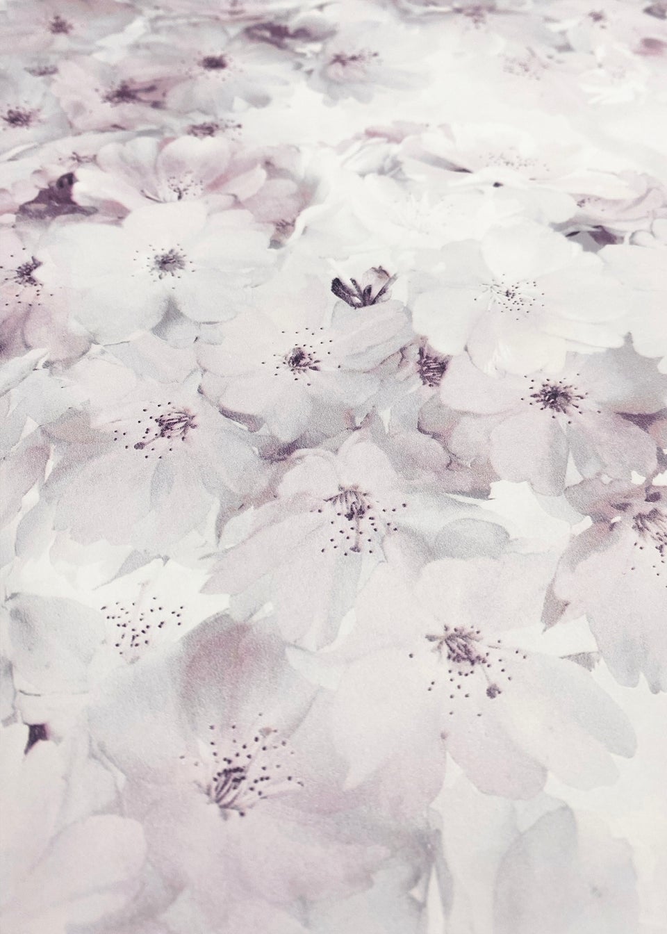 Muriva Apple Blossom Rose