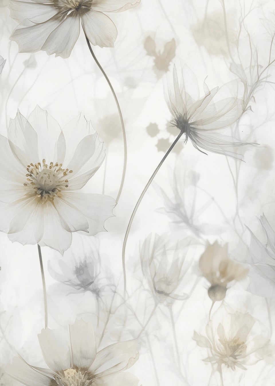 Muriva Lissa Flowers Cream