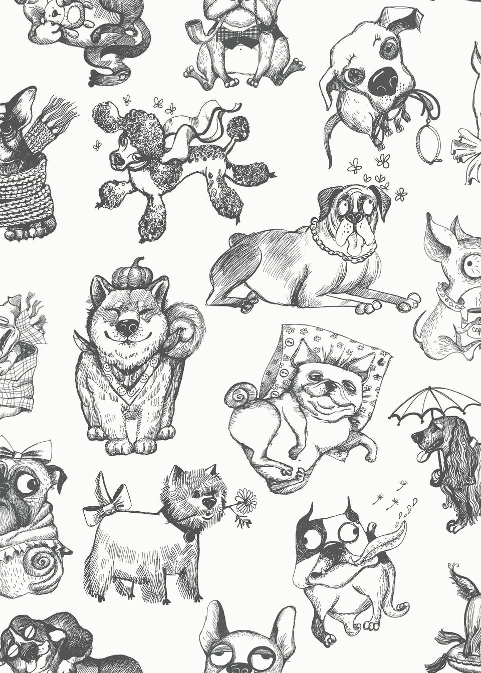 Muriva Pooches