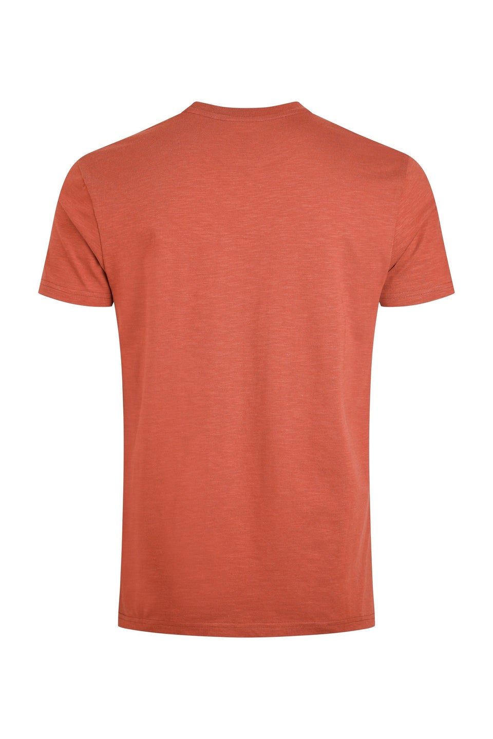 Weird Fish Baked Clay Fished Branded T-Shirt