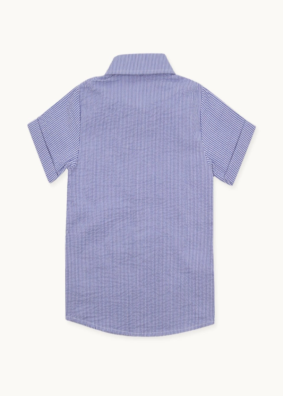 Lilly & Sid Blue Stripe Print Shirt (24 Months- 8 Years)