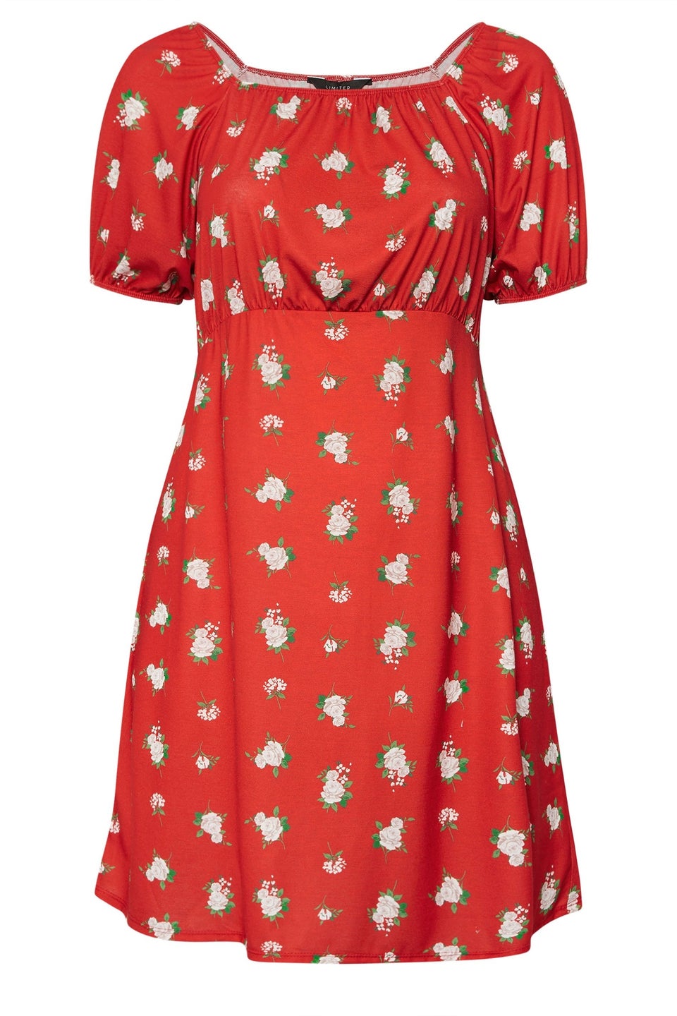 LIMITED COLLECTION Curve Red Floral Mini Dress