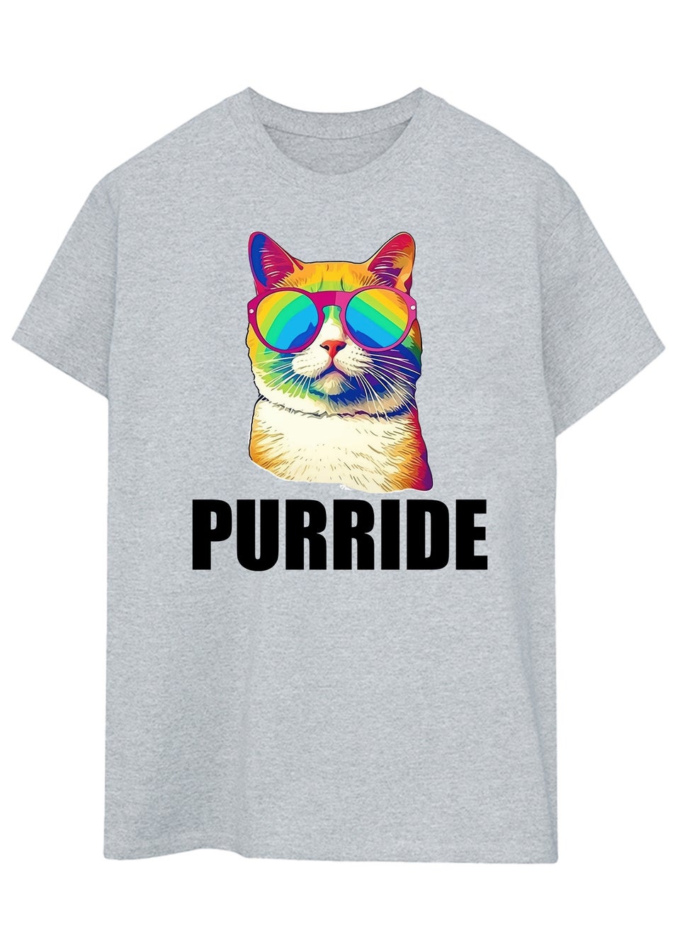Brands In Cat Pride Purride Grey Boyfriend Fit Graphic T-Shirt