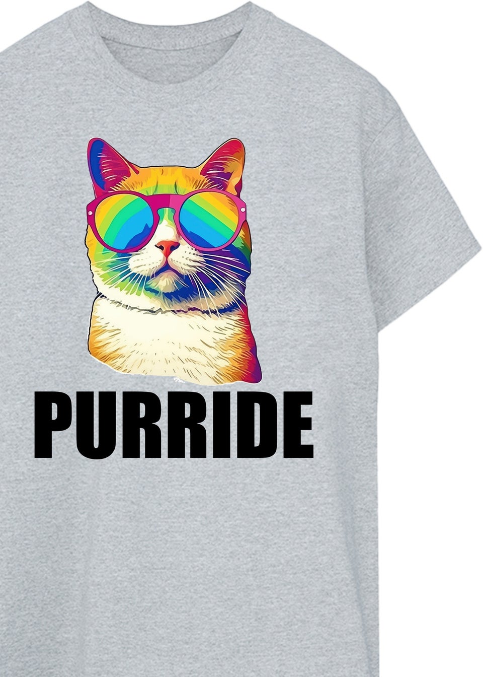 Brands In Cat Pride Purride Grey Boyfriend Fit Graphic T-Shirt