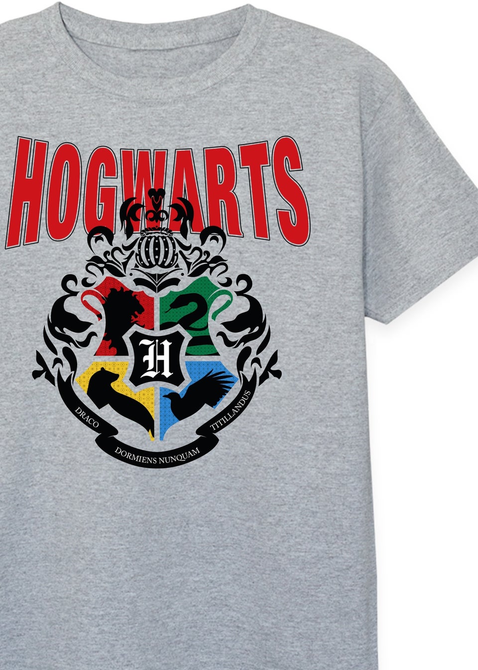 Harry Potter Hogwarts Emblem Kids Grey Printed Graphic T-Shirt (3-13 Years)