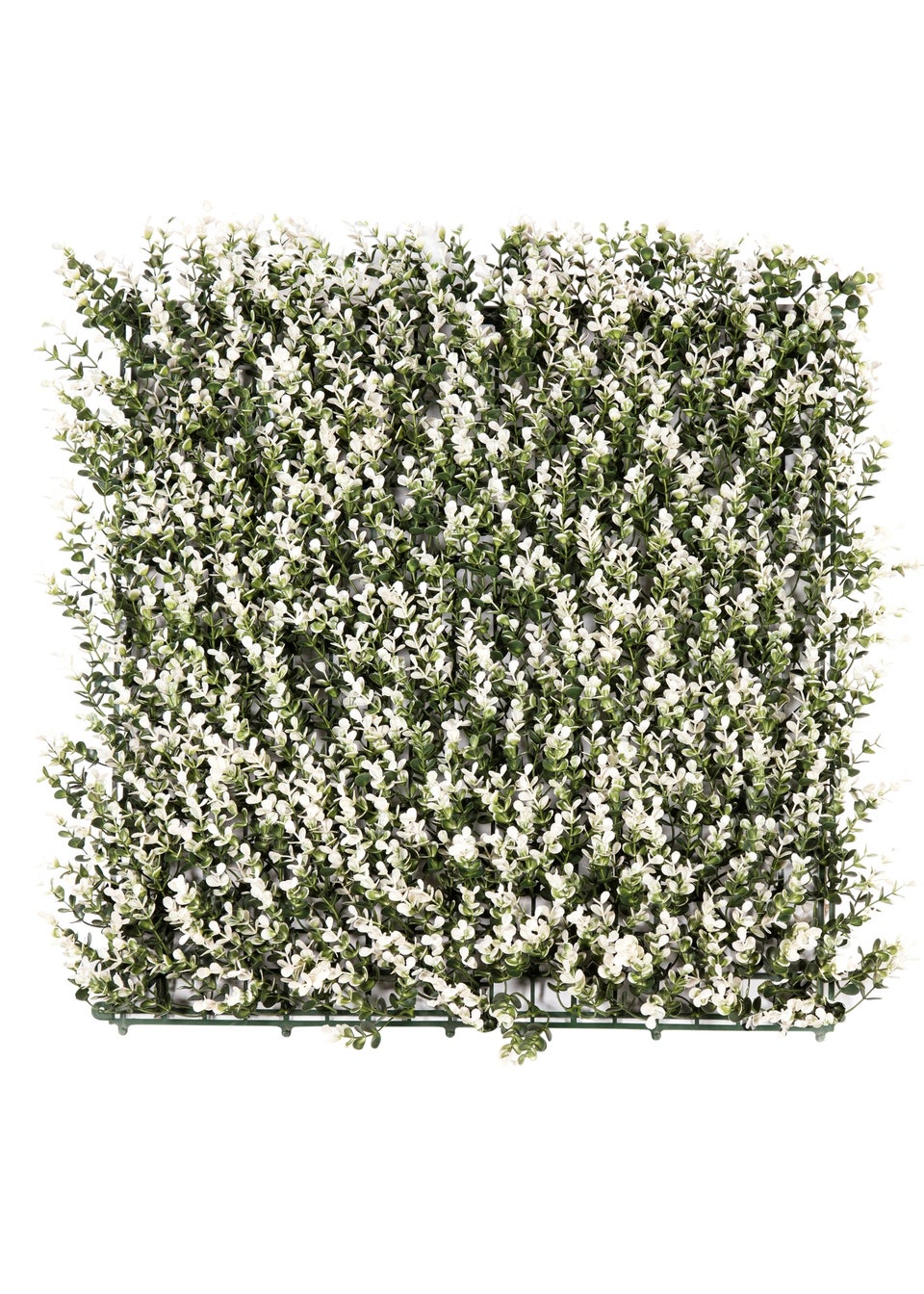 Premier Decorations Green Artificial Living Wall White Buxus (50cm x 50cm)
