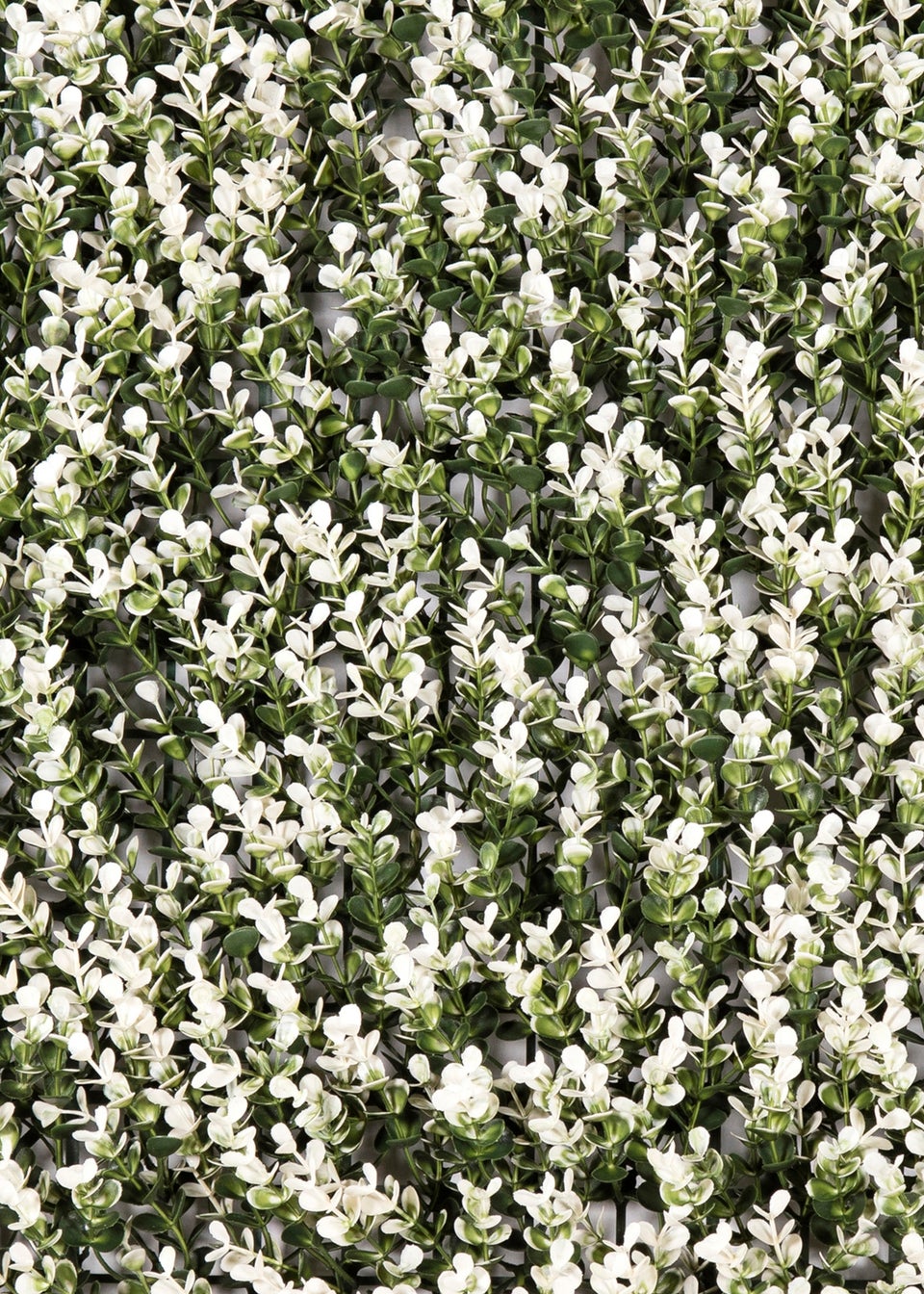 Premier Decorations Green Artificial Living Wall White Buxus (50cm x 50cm)