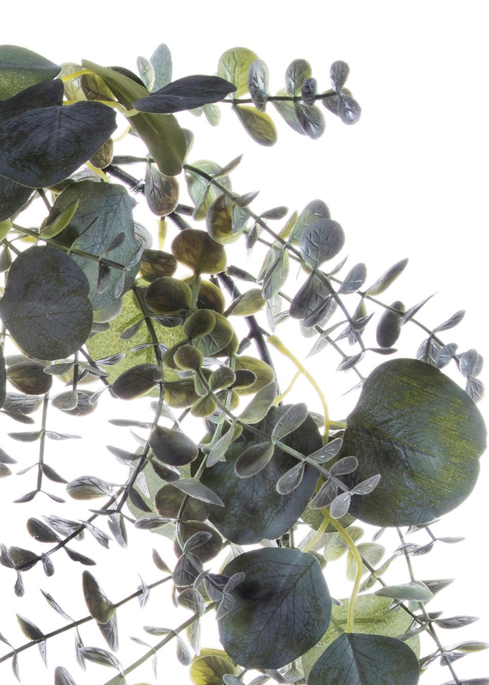 Premier Decorations Green Eucalyptus Wreath