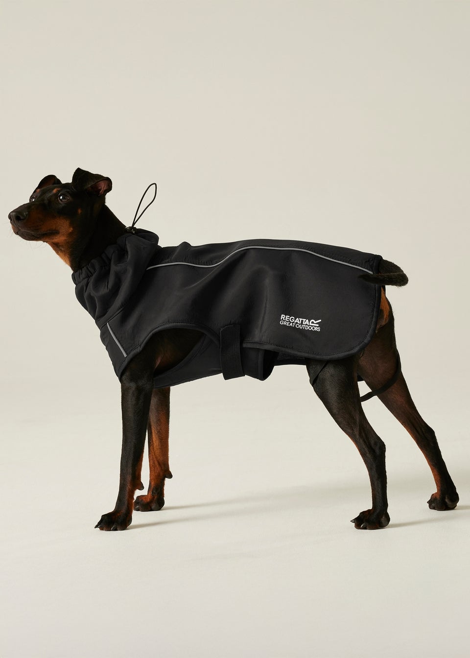 Regatta Black Pet's Softshell Waterproof Dog Coat